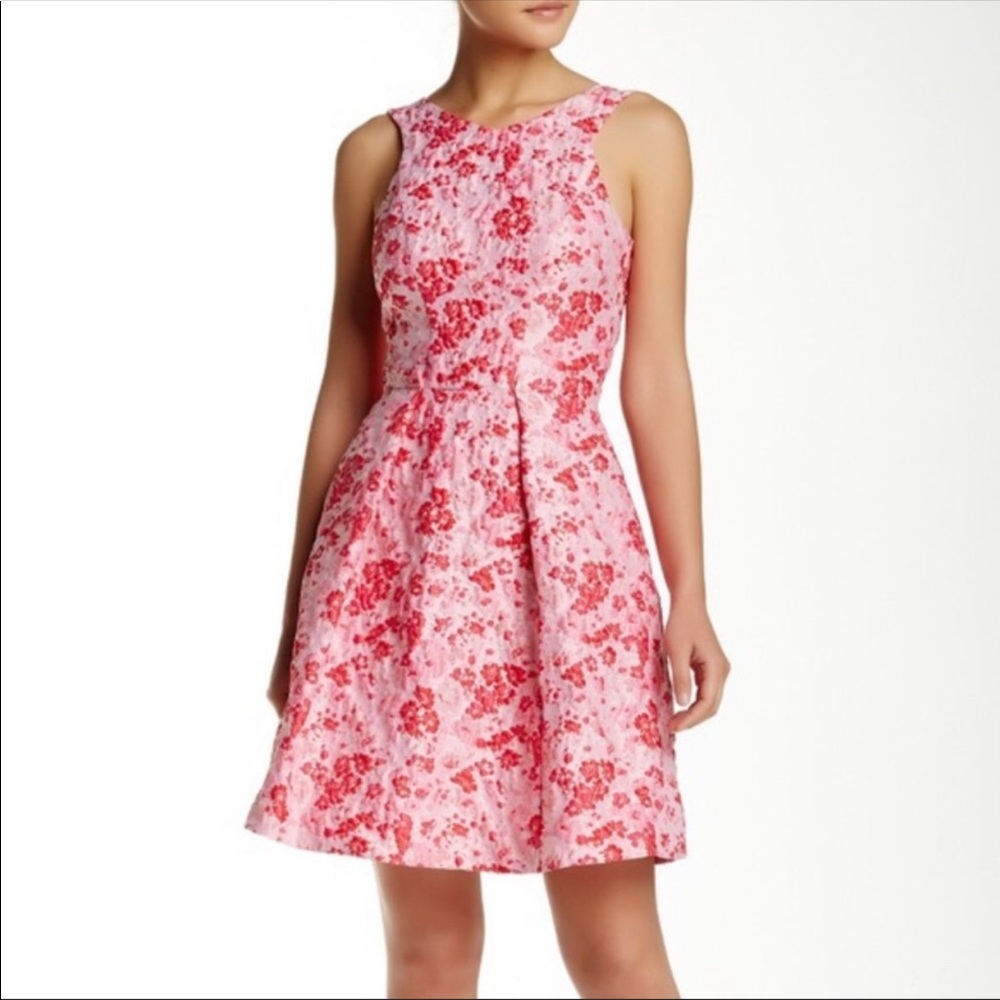 Yoana Baraschi pink brocade cocktail dress!